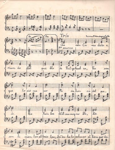 Imagen de notas musicales de la marcha para Aarón Camacho López